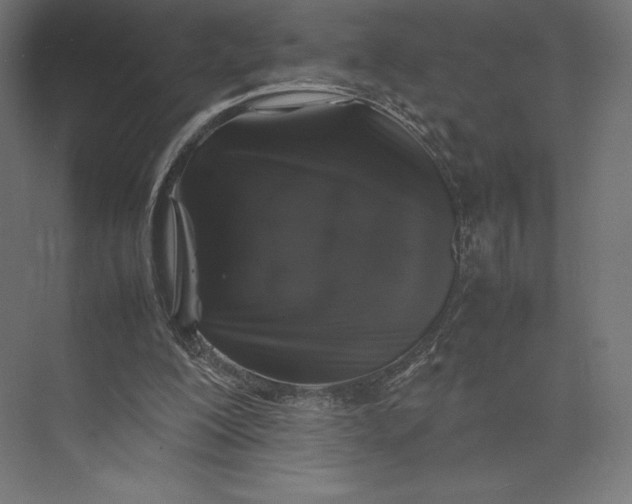 X0000074030200200609061150