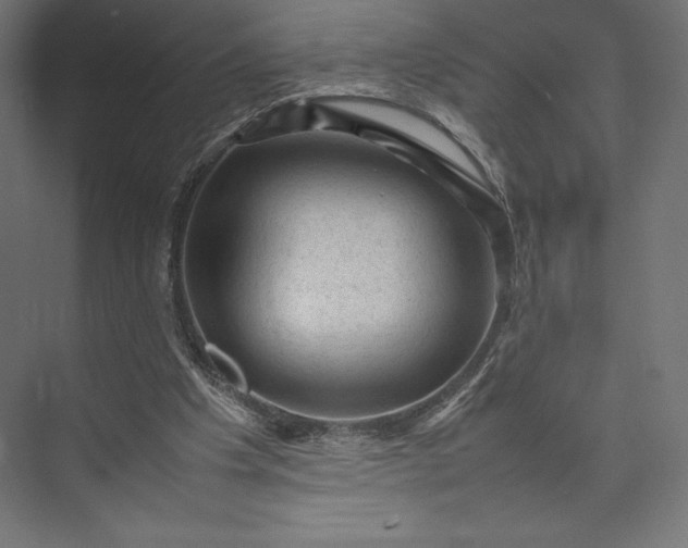 X0000074030201200609061150