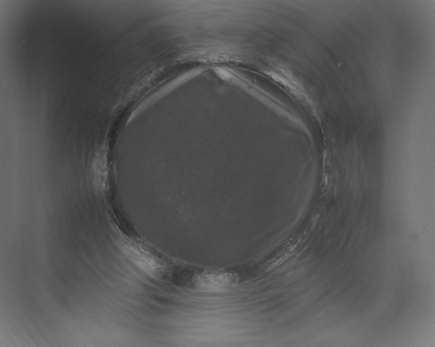 X0000074030202200609061150