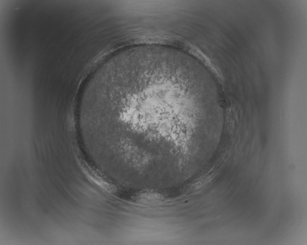 X0000074030203200609061150