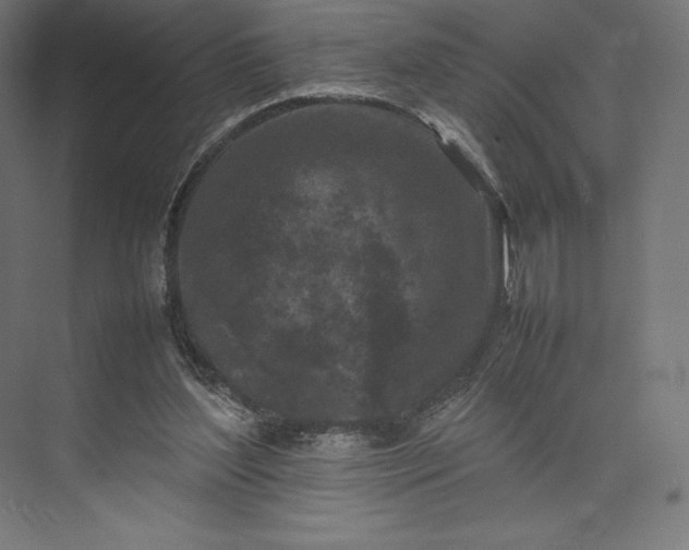 X0000074030204200609061150