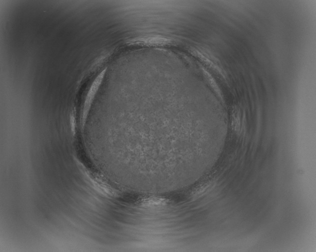 X0000074030206200609061150