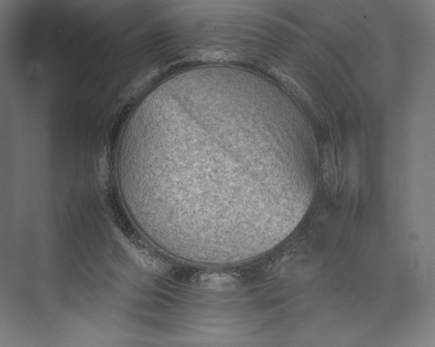 X0000074030208200609061150