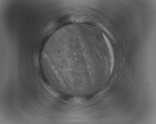 X0000074030209200609061150