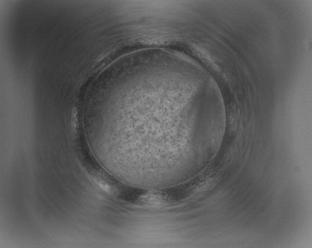 X0000074030211200609061150