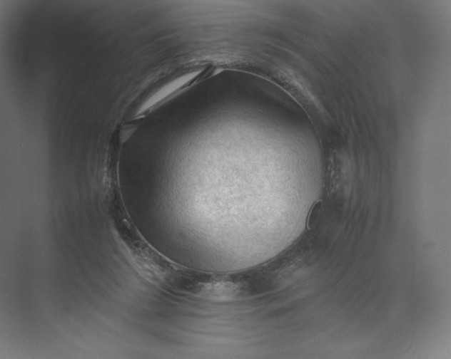 X0000074030212200609061150