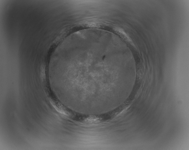 X0000074030213200609061150