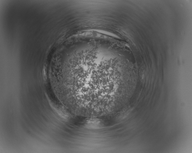 X0000074030214200609061150