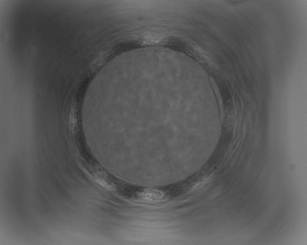 X0000074030215200609061150