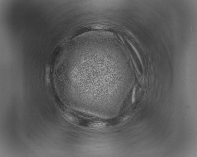 X0000074030217200609061150