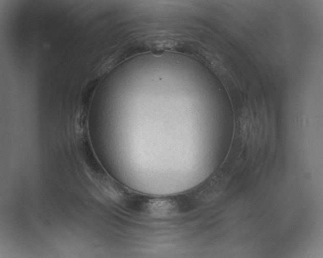 X0000074030218200609061150