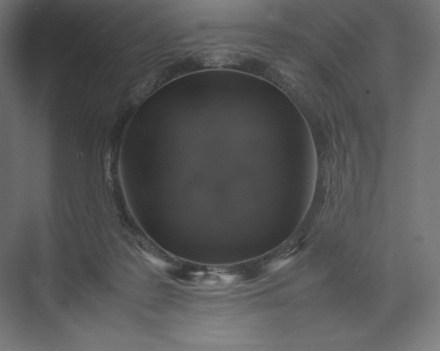 X0000074030219200609061150