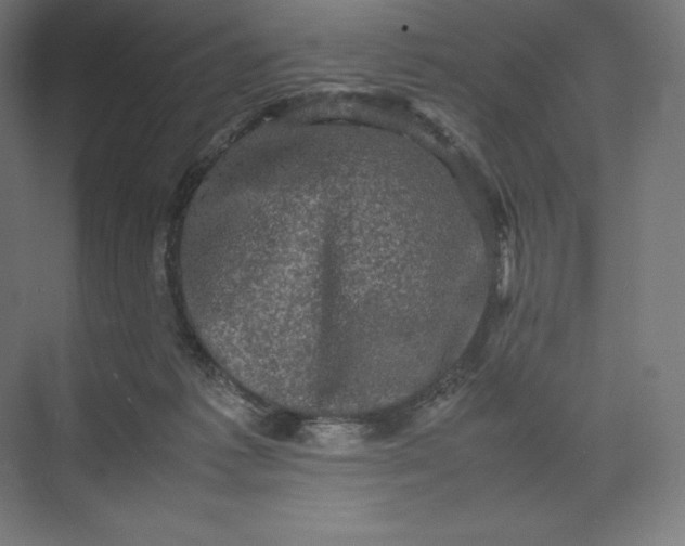 X0000074030221200609061150