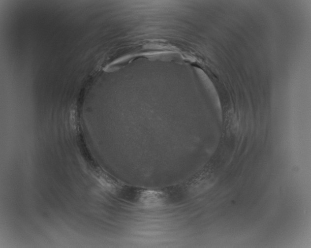 X0000074030222200609061150