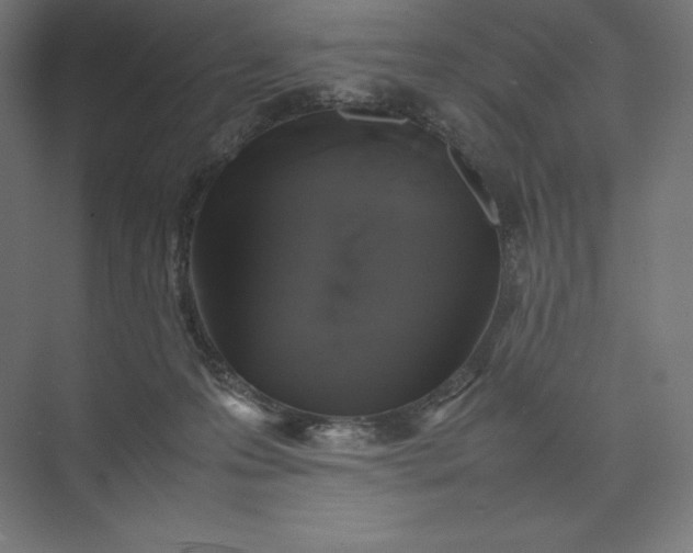 X0000074030223200609061150