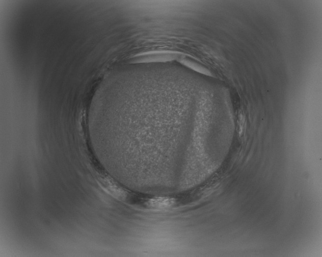 X0000074030225200609061150