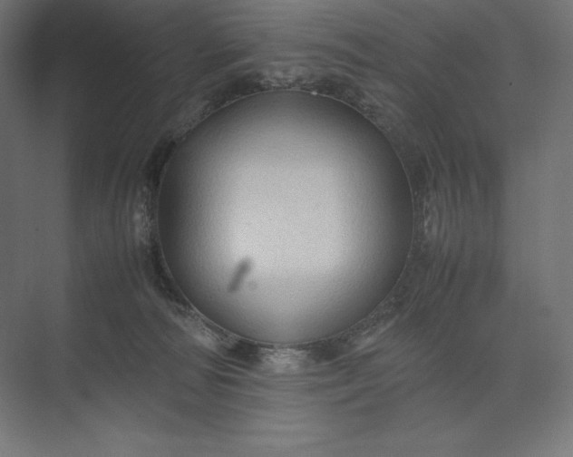 X0000074030226200609061150