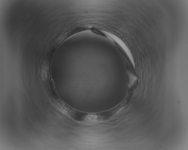 X0000074030227200609061150