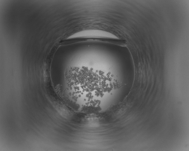 X0000074030228200609061150