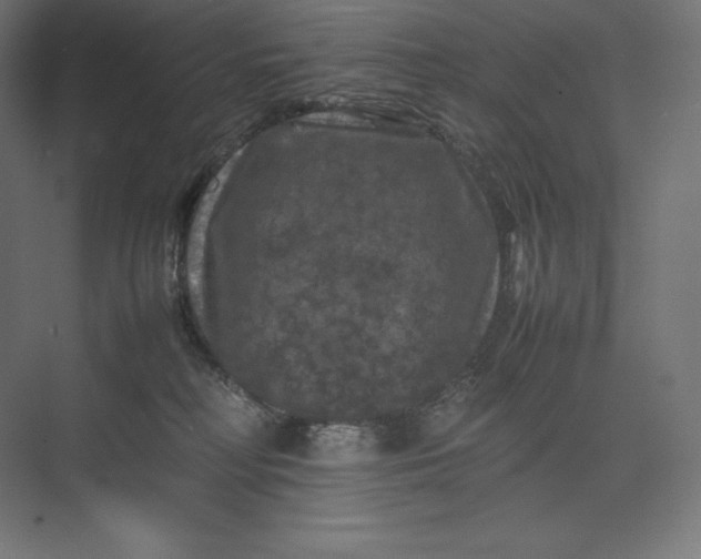 X0000074030230200609061150