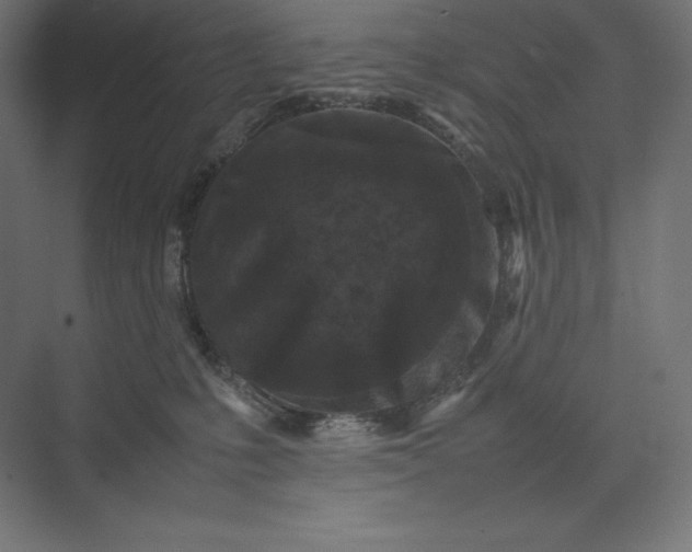 X0000074030231200609061150