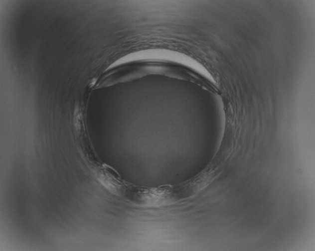 X0000074030235200609061150