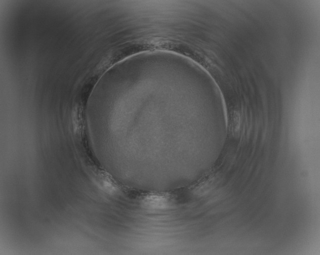 X0000074030236200609061150