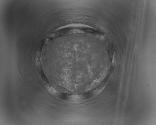 X0000074030237200609061150