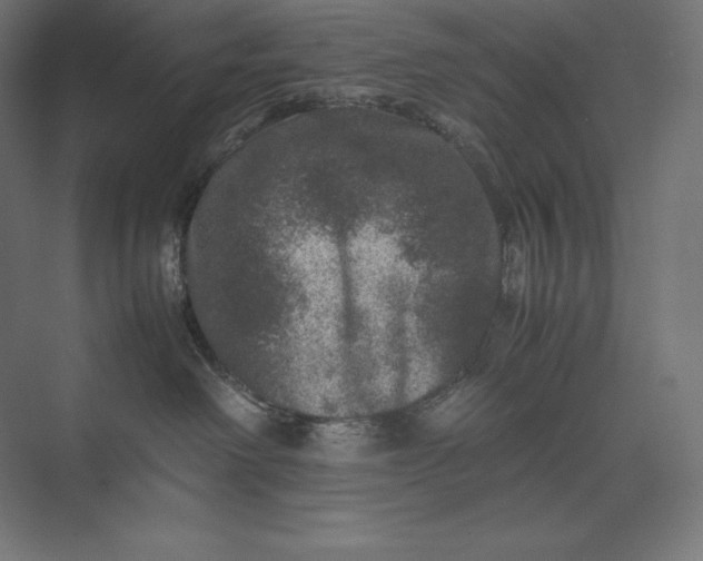 X0000074030238200609061150