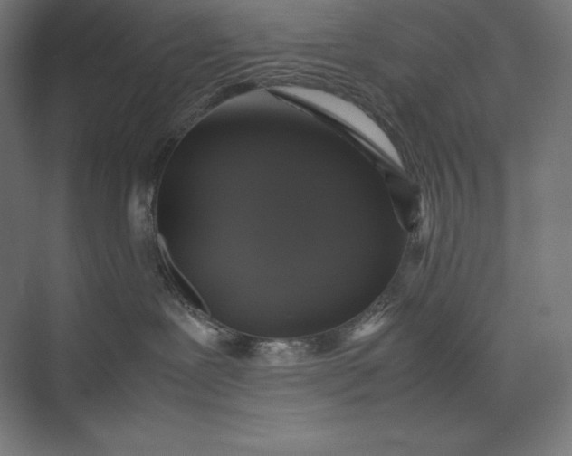 X0000074030239200609061150