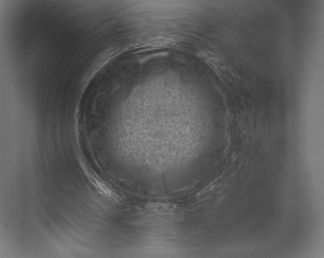 X0000074030242200609061149