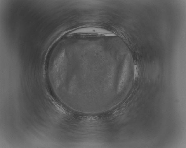 X0000074030243200609061149