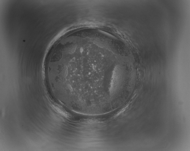 X0000074030246200609061149