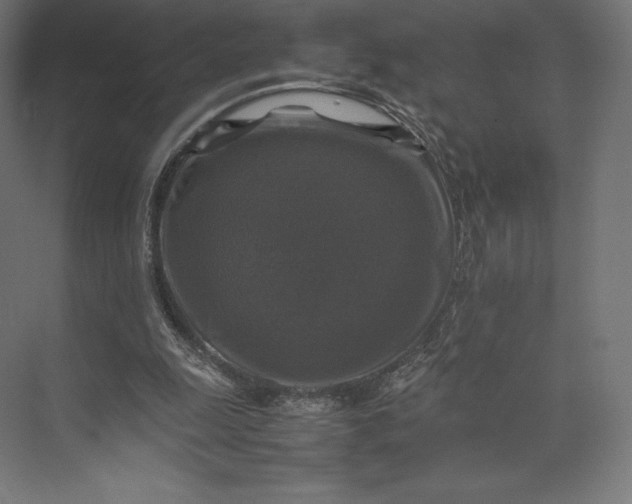 X0000074030247200609061149