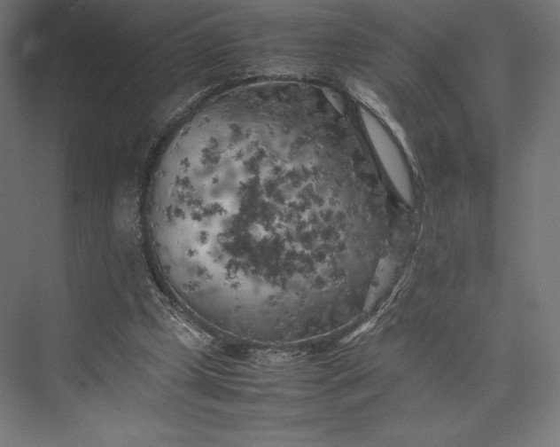 X0000074030249200609061149