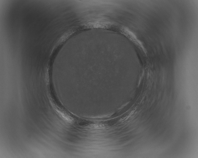 X0000074030250200609061149