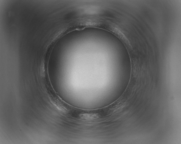 X0000074030251200609061149