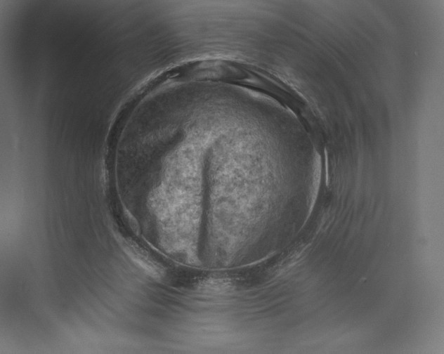 X0000074030252200609061149