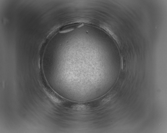 X0000074030253200609061149