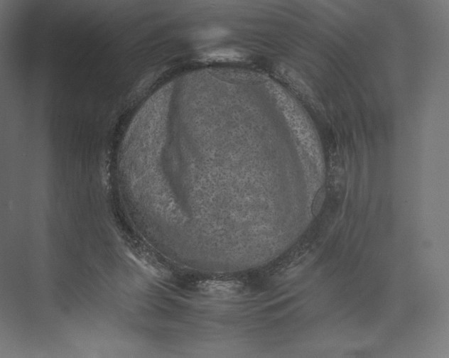 X0000074030255200609061149