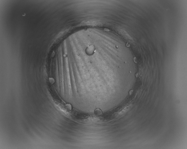 X0000074030256200609061149