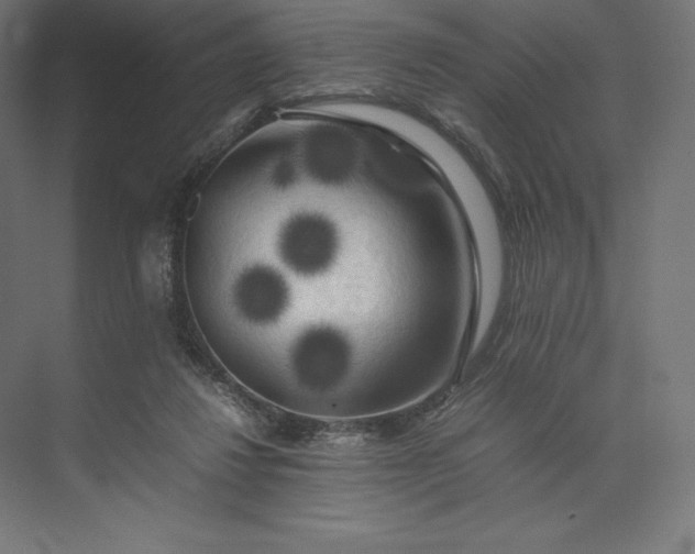 X0000074030260200609061149