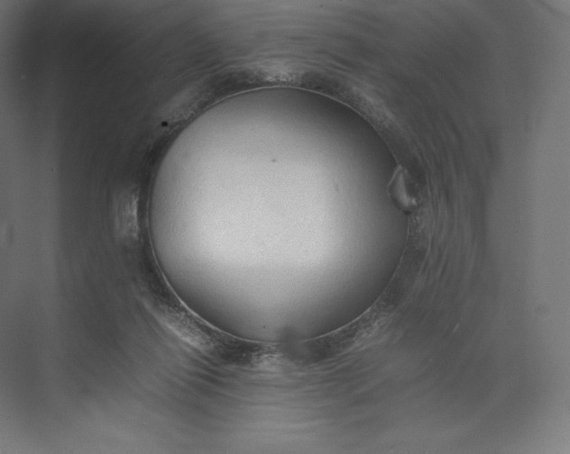 X0000074030262200609061149