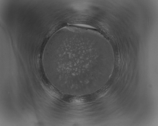 X0000074030263200609061149