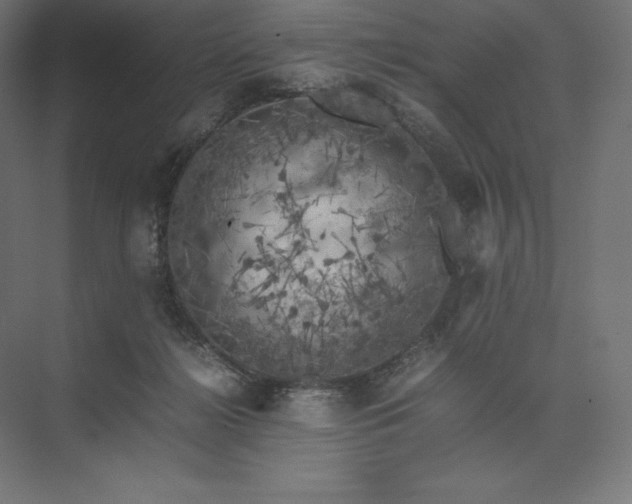 X0000074030268200609061149