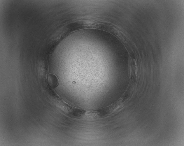 X0000074030270200609061149