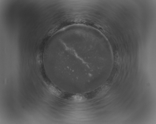 X0000074030272200609061149