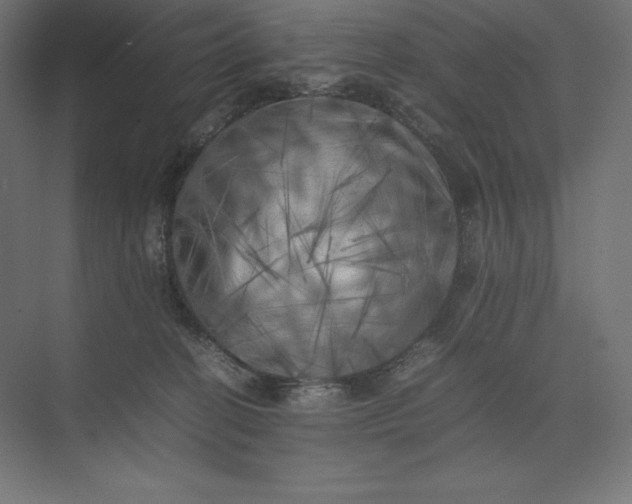 X0000074030274200609061149