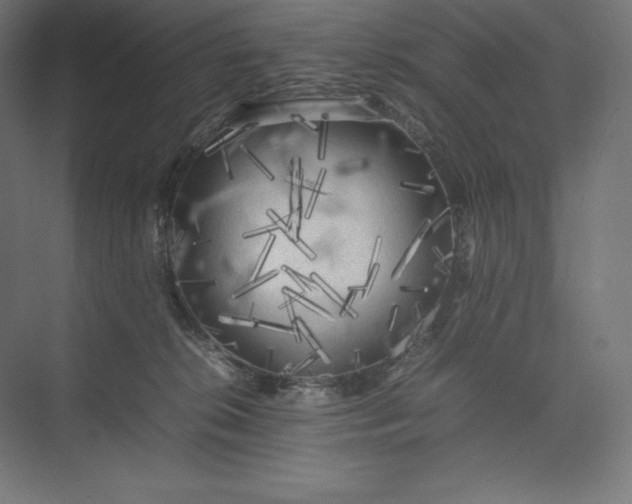 X0000074030276200609061149