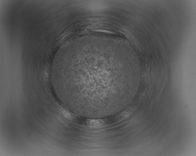 X0000074030277200609061149